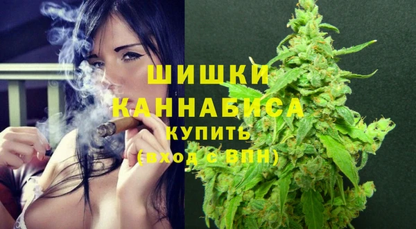 винт Бронницы