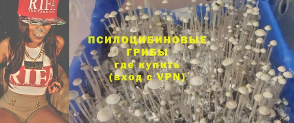 винт Бронницы